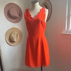 Naked Zebra Scalloped Orange Mini Dress